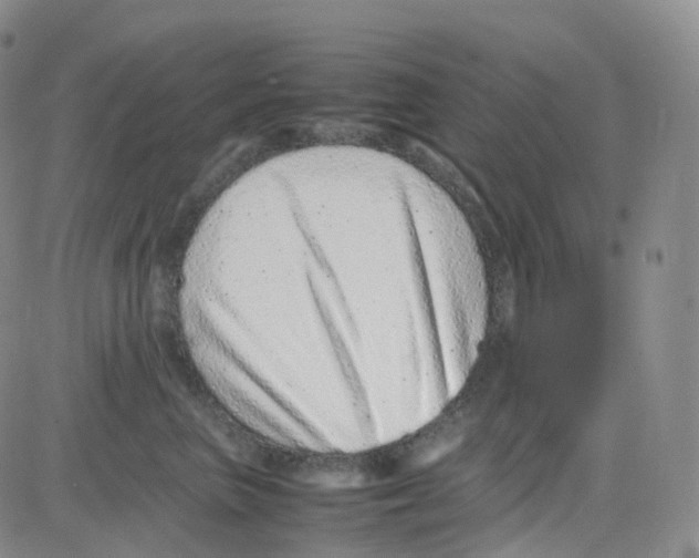 X0000082740667200702240014