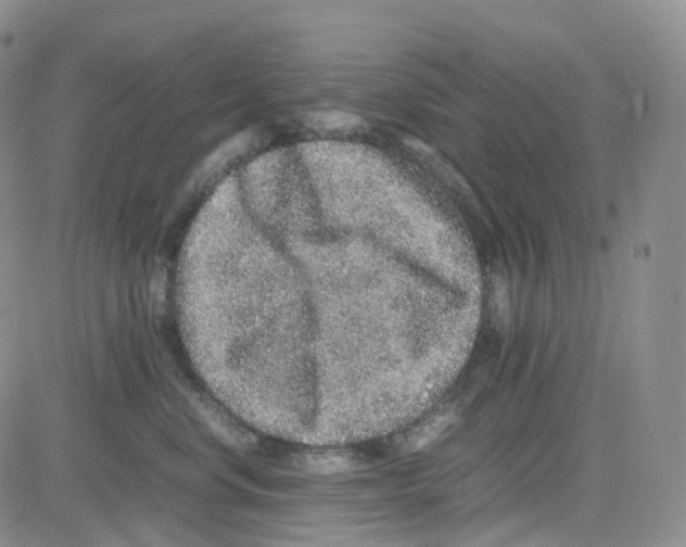 X0000082740668200702240014