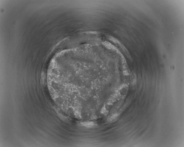 X0000082740669200702240014