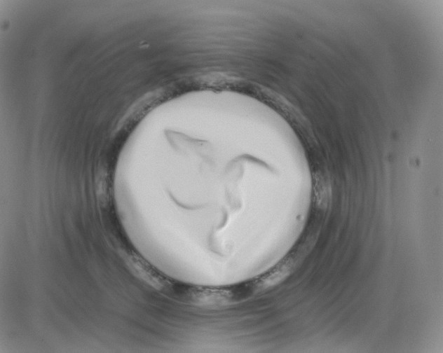 X0000082740670200702240014