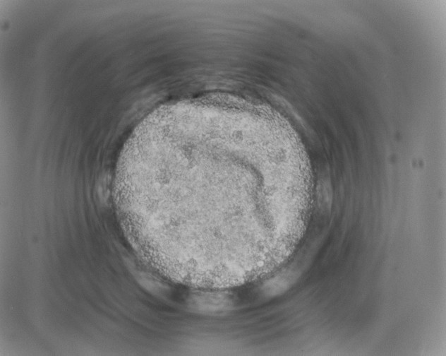 X0000082740671200702240014