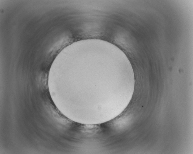 X0000082740672200702240014