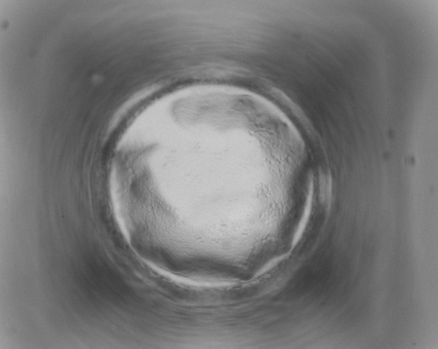 X0000082740675200702240013