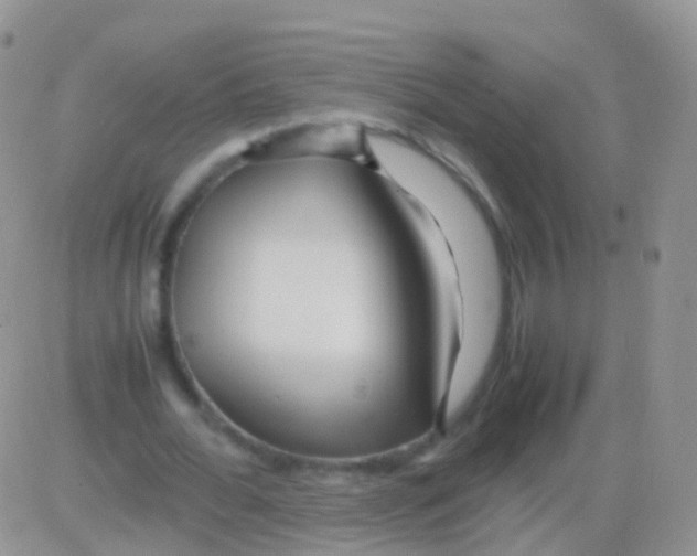 X0000082740676200702240013