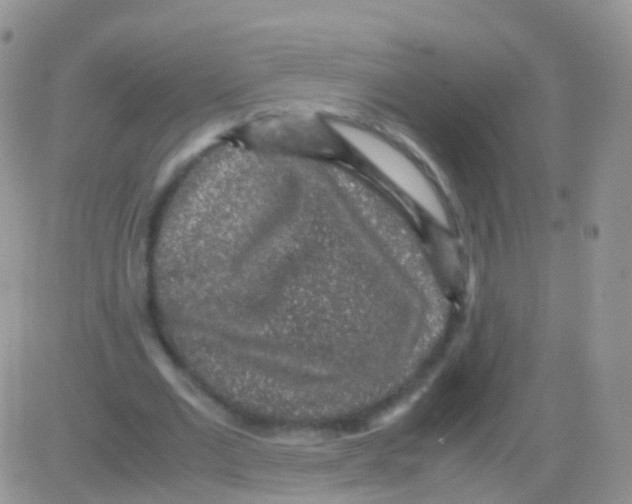 X0000082740677200702240013