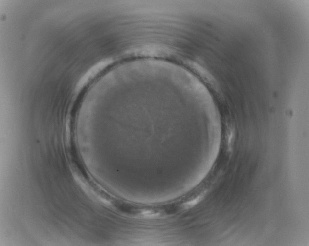 X0000082740678200702240013