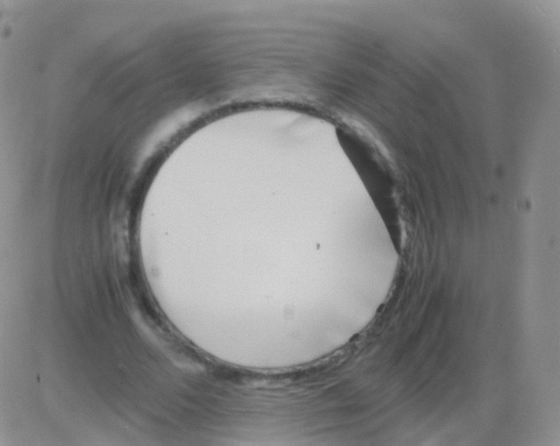 X0000082740680200702240013