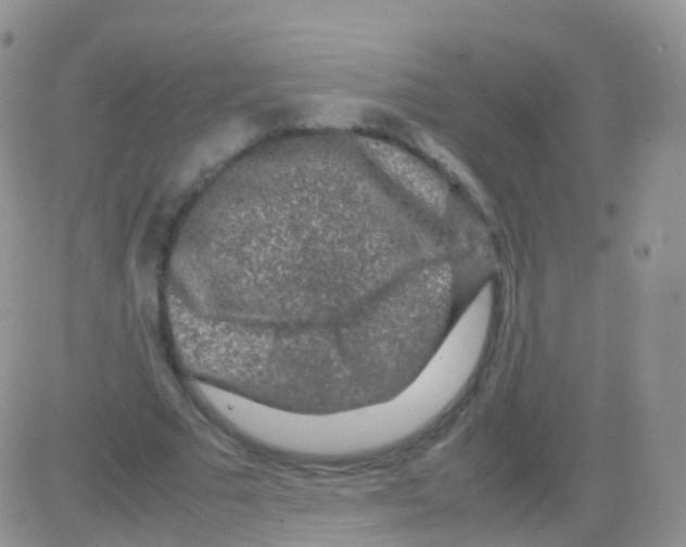 X0000082740681200702240013