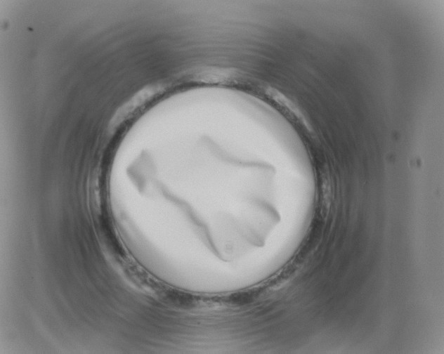 X0000082740682200702240013