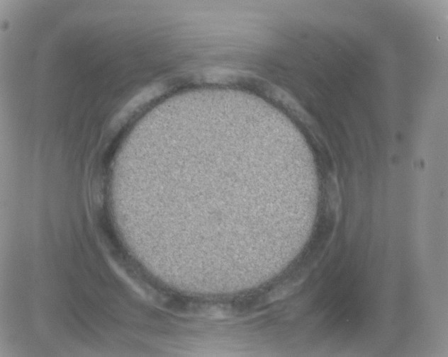 X0000082740683200702240013