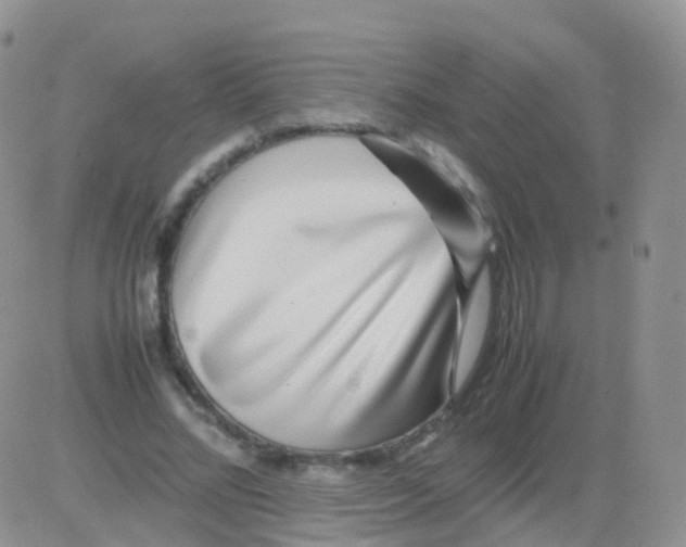 X0000082740684200702240013