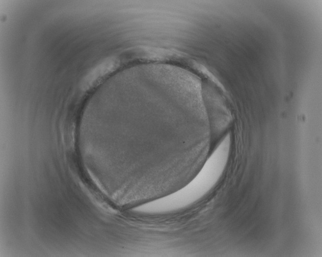 X0000082740685200702240013