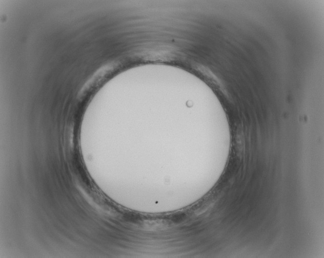 X0000082740686200702240013