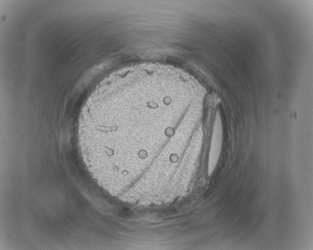 X0000082740687200702240013