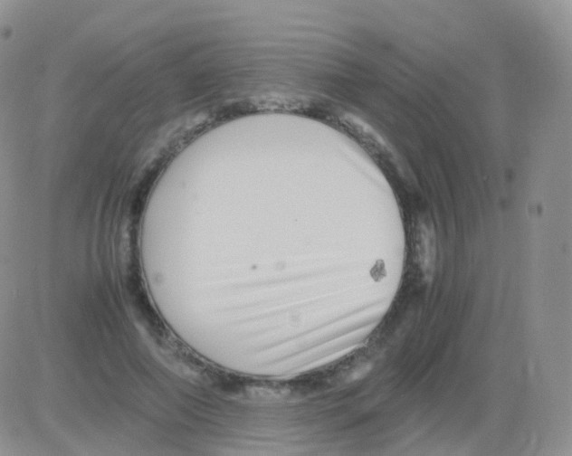 X0000082740690200702240013