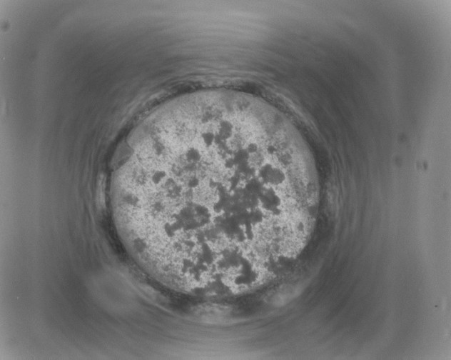 X0000082740691200702240013