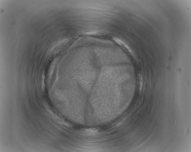 X0000082740692200702240013