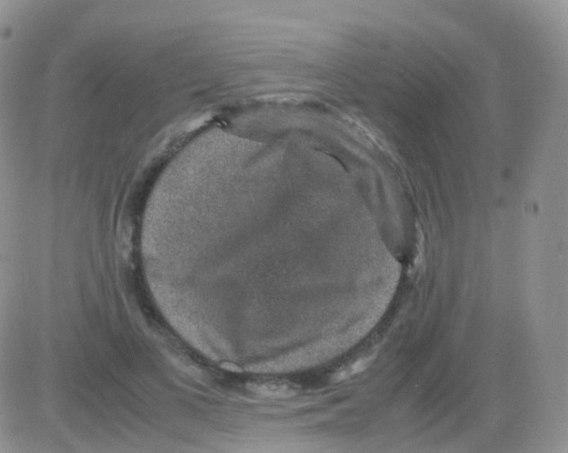 X0000082740693200702240013