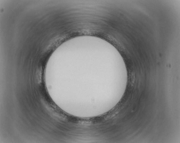 X0000082740694200702240013