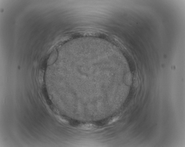 X0000082740695200702240013