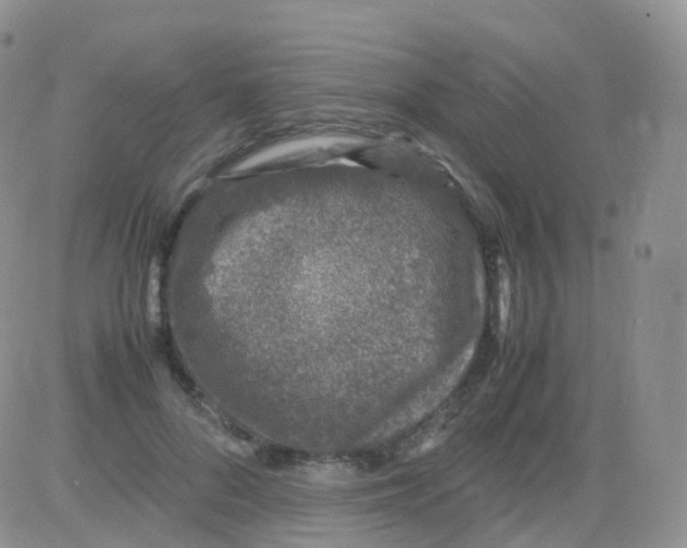 X0000082740696200702240013