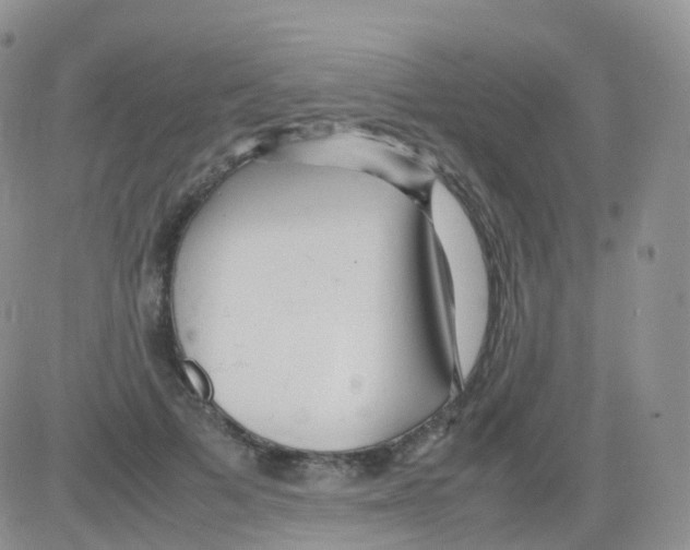 X0000082740697200702240013