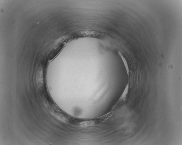 X0000082740700200702240013