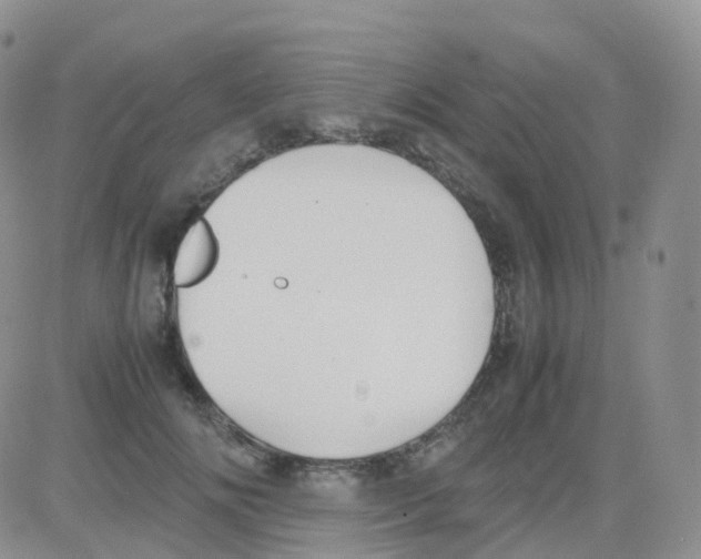 X0000082740702200702240013