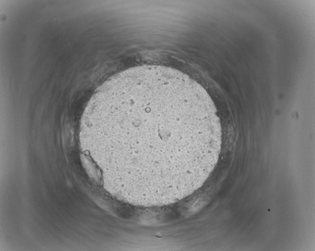 X0000082740703200702240013