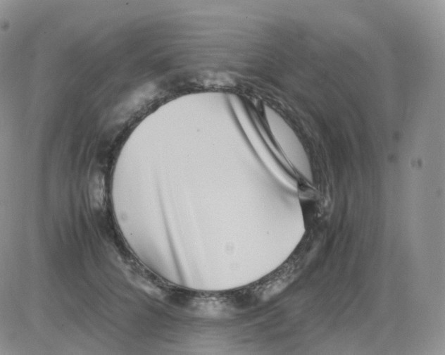 X0000082740704200702240013