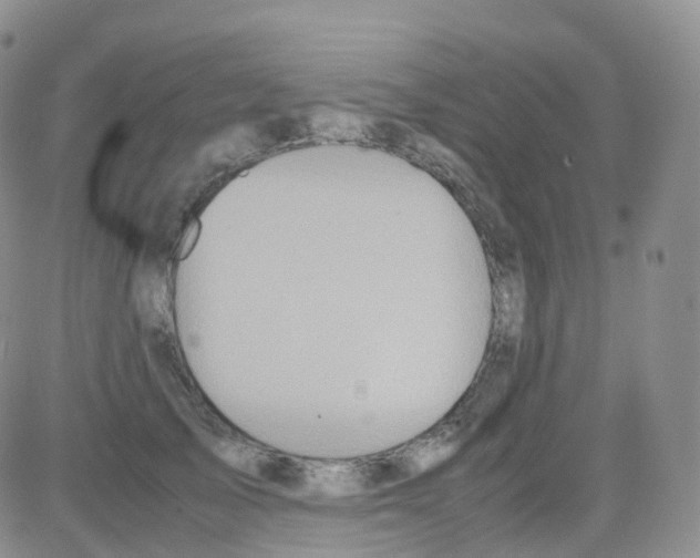 X0000082740705200702240013