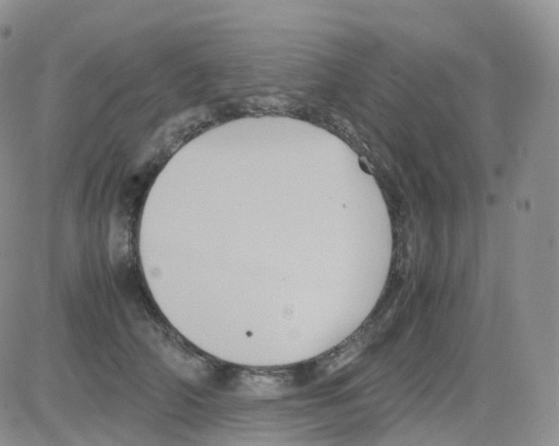 X0000082740706200702240013