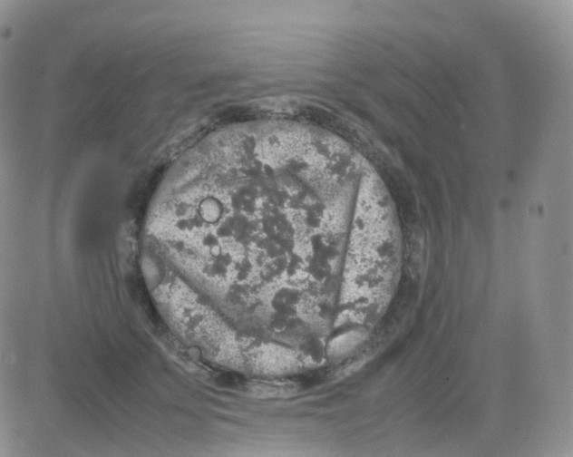 X0000082740707200702240013