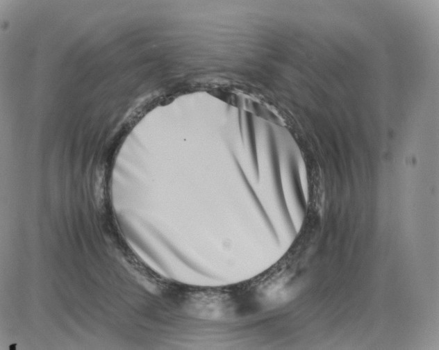 X0000082740708200702240013