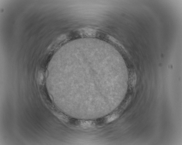 X0000082740709200702240013