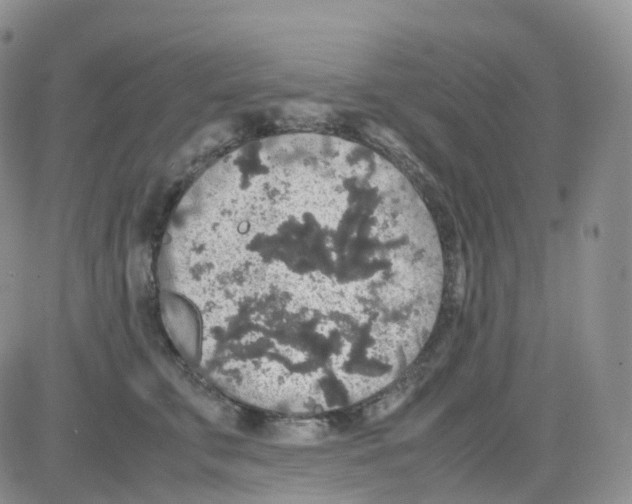 X0000082740711200702240013