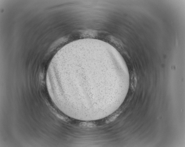 X0000082740714200702240013