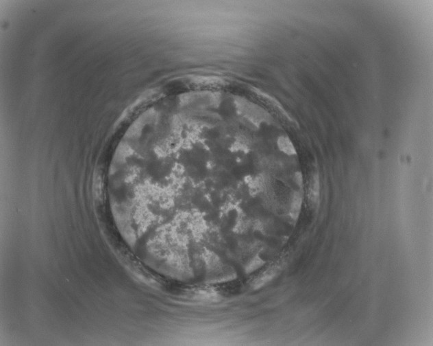 X0000082740715200702240013