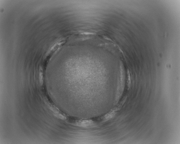 X0000082740716200702240013