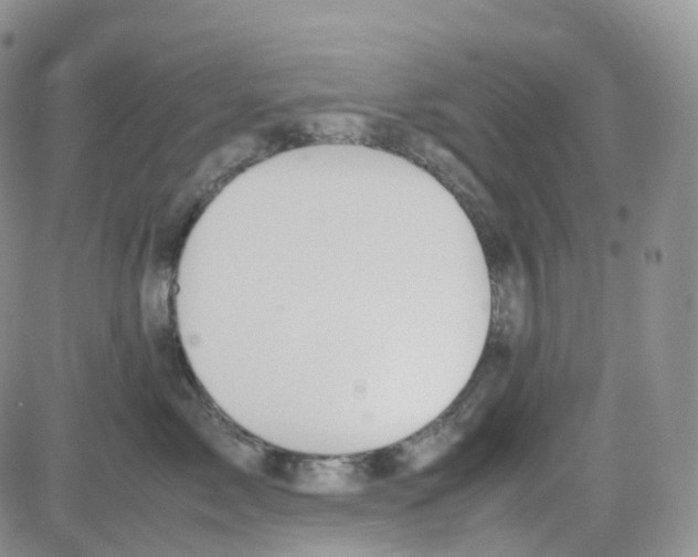 X0000082740717200702240013