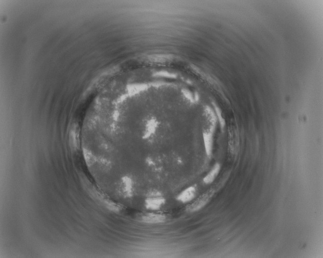 X0000082740718200702240013