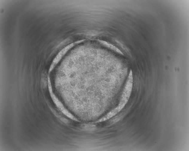 X0000082740719200702240013