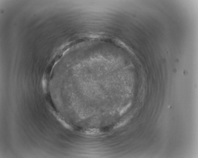 X0000082740720200702240013