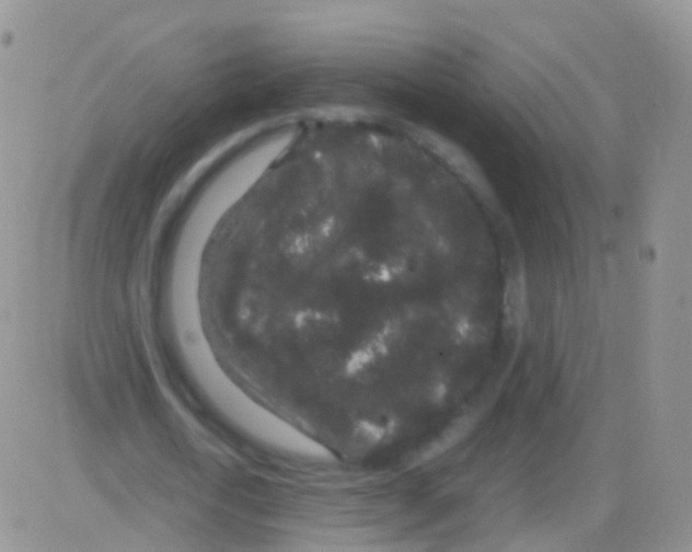 X0000082740722200702240012