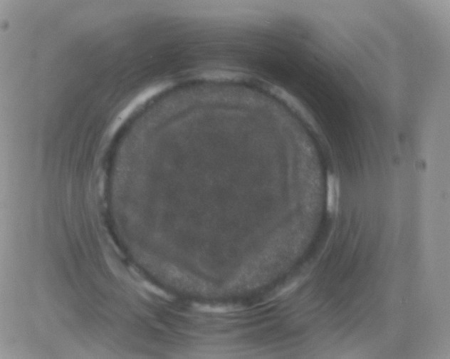 X0000082740723200702240012