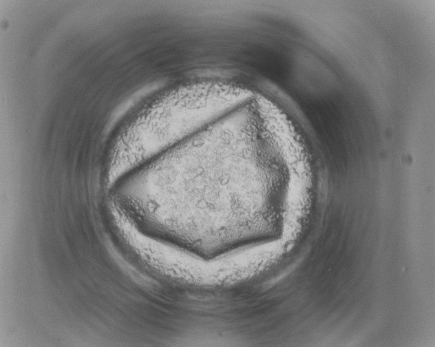 X0000082740725200702240012