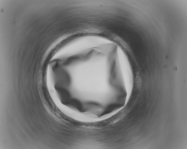 X0000082740726200702240012