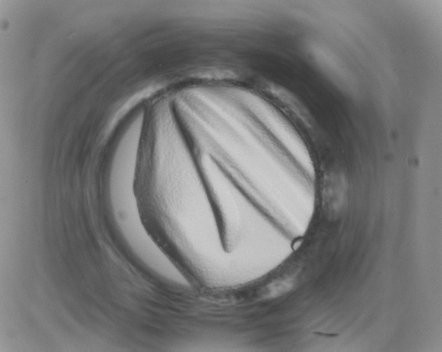 X0000082740727200702240012