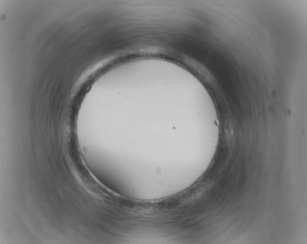 X0000082740728200702240012