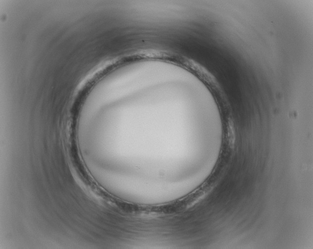 X0000082740730200702240012